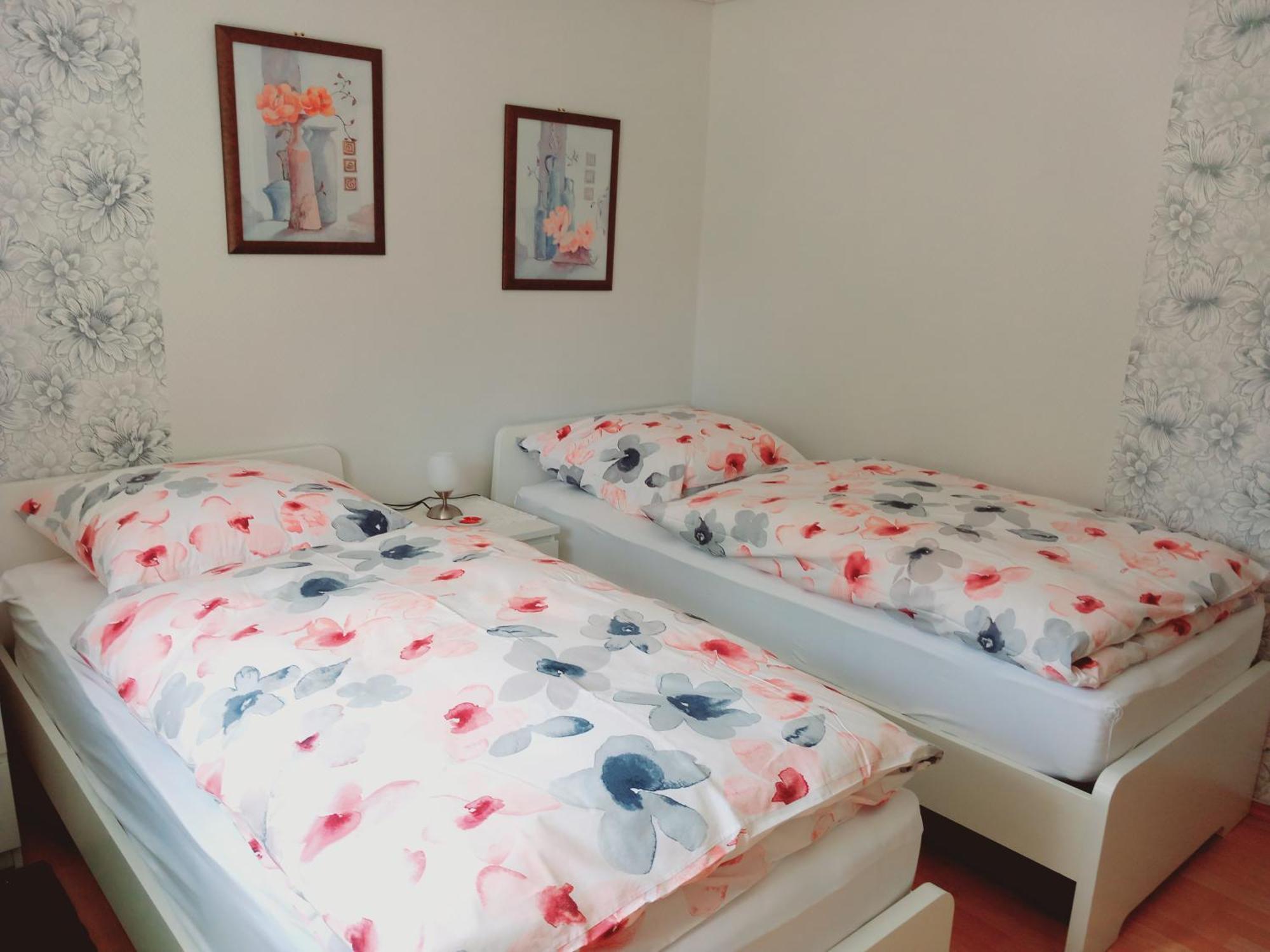 Gemuetliche 3 Zimmer-ferienwohnung Langelsheim